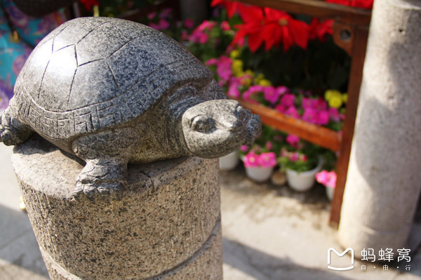 一起去三亚旅游就是最好的陪伴,三亚攻略自由行情侣