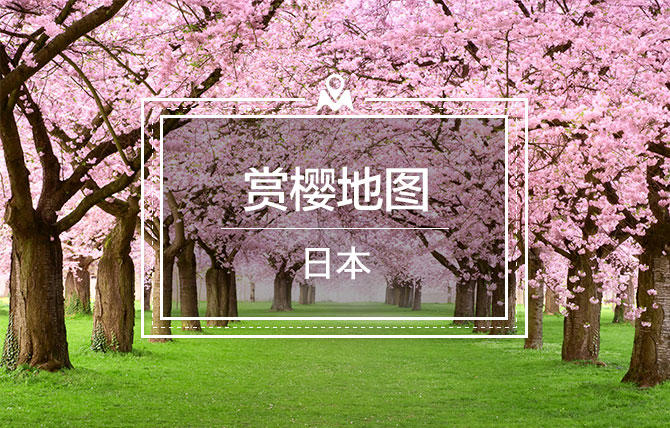 到底哪里才是12星座最不可辜负的樱花祭（上）