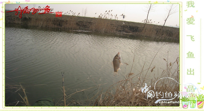 2016之我爱飞鱼觅得好钓点