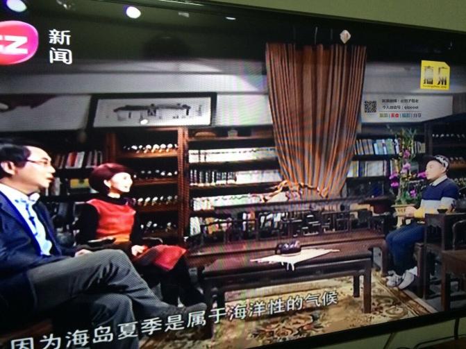 帕劳深度解析游玩攻略,帕劳最坑的海岛