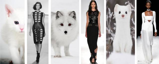 零皮草生活丨要优雅不要污（划掉）杀戮