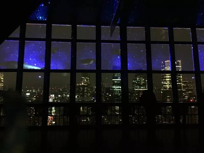东京爱情故事日语,东京爱情故事有多少集