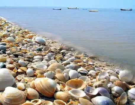 天津5a级旅游景点都有哪些,天津旅游景点推荐网红一日游