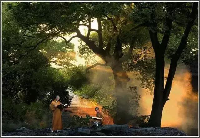 本来无一物何处惹尘埃到此为止,本来无一物，何处惹尘埃