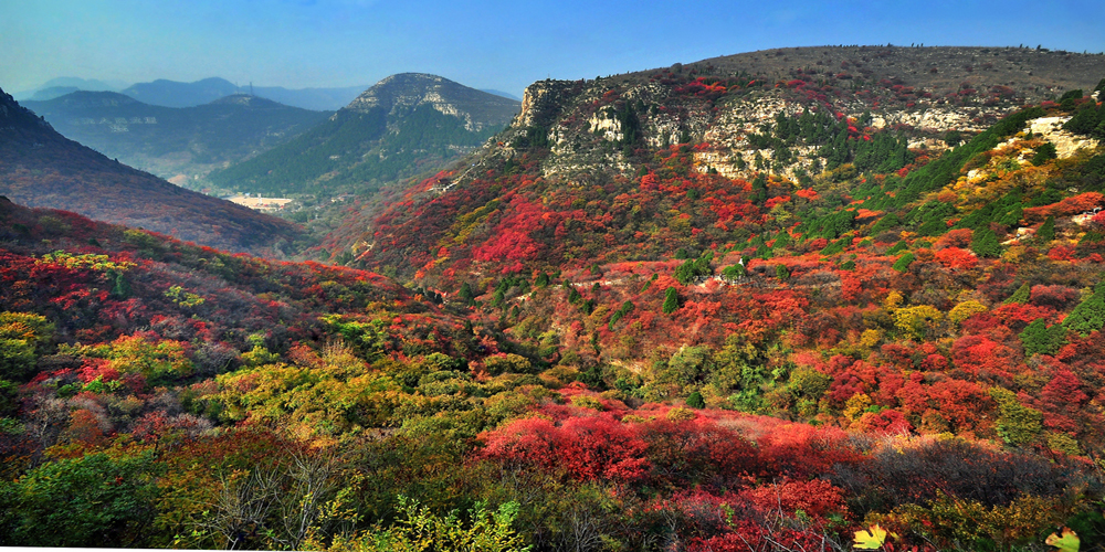 亲山近水享绿色福利，五彩鸢都创森林潍坊