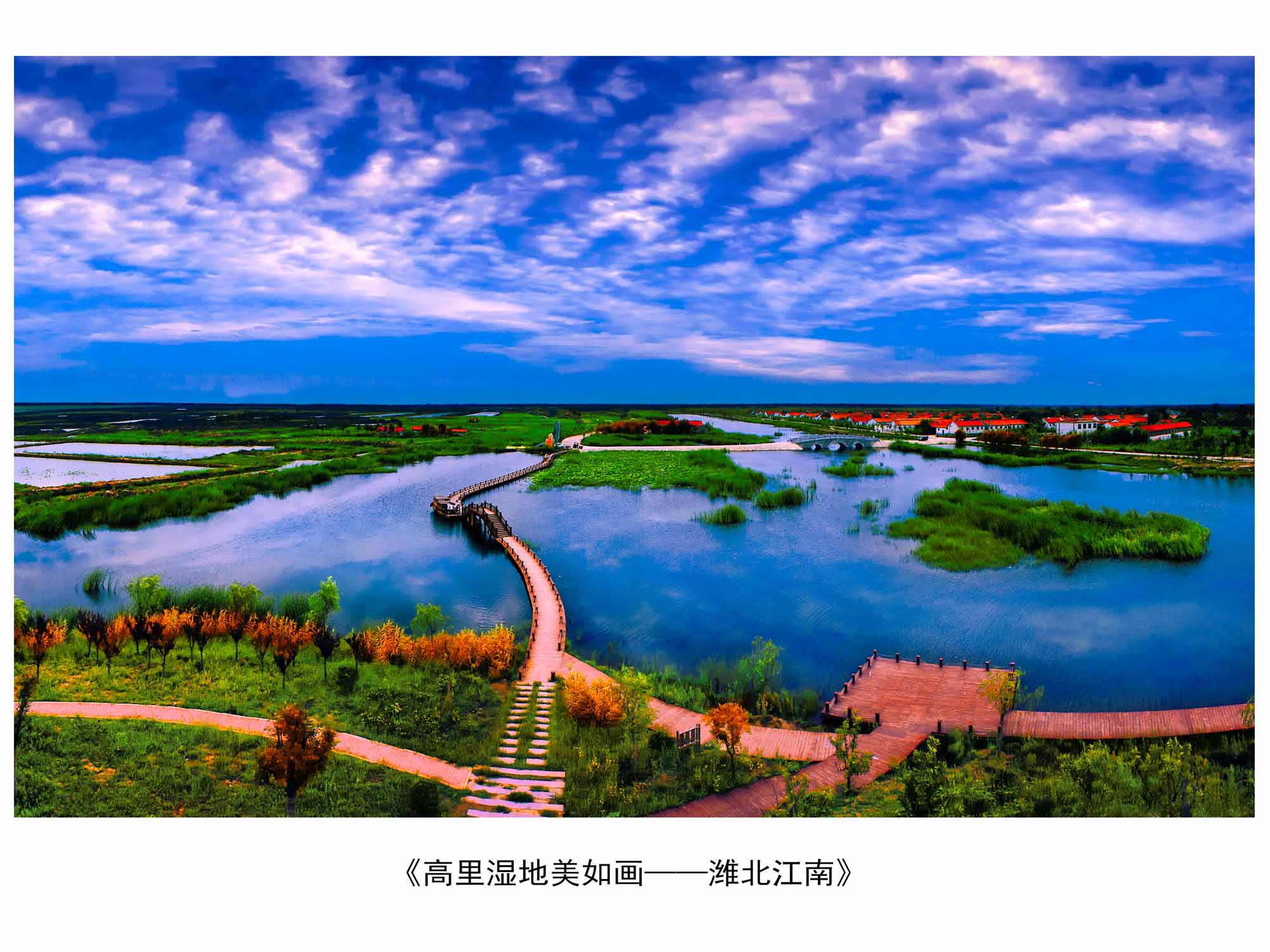 亲山近水享绿色福利，五彩鸢都创森林潍坊