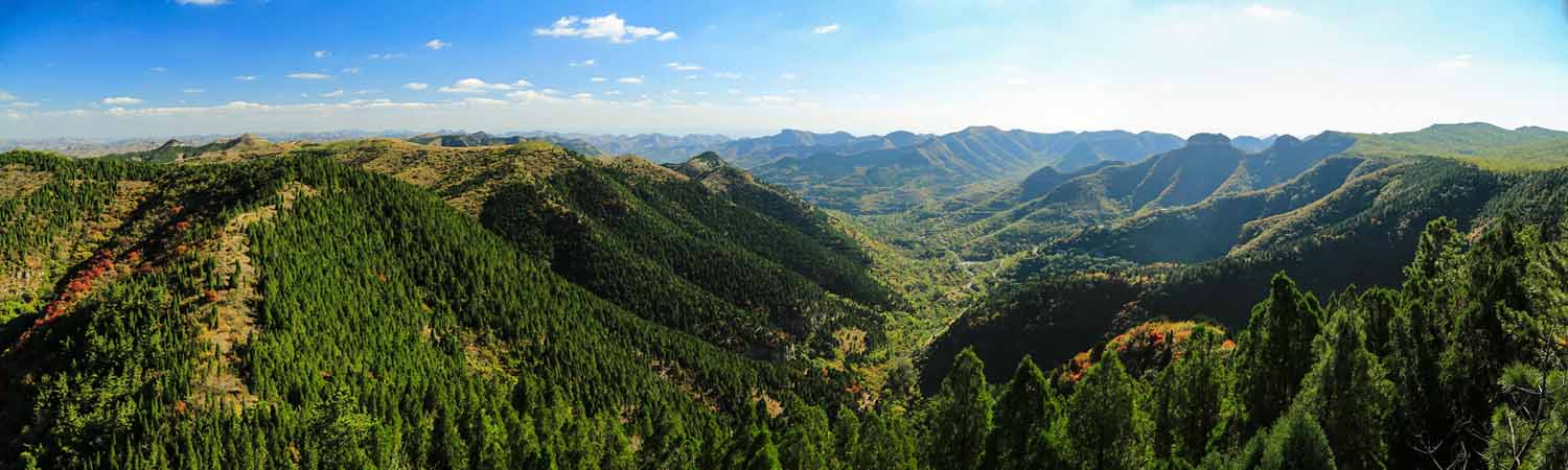 亲山近水享绿色福利，五彩鸢都创森林潍坊