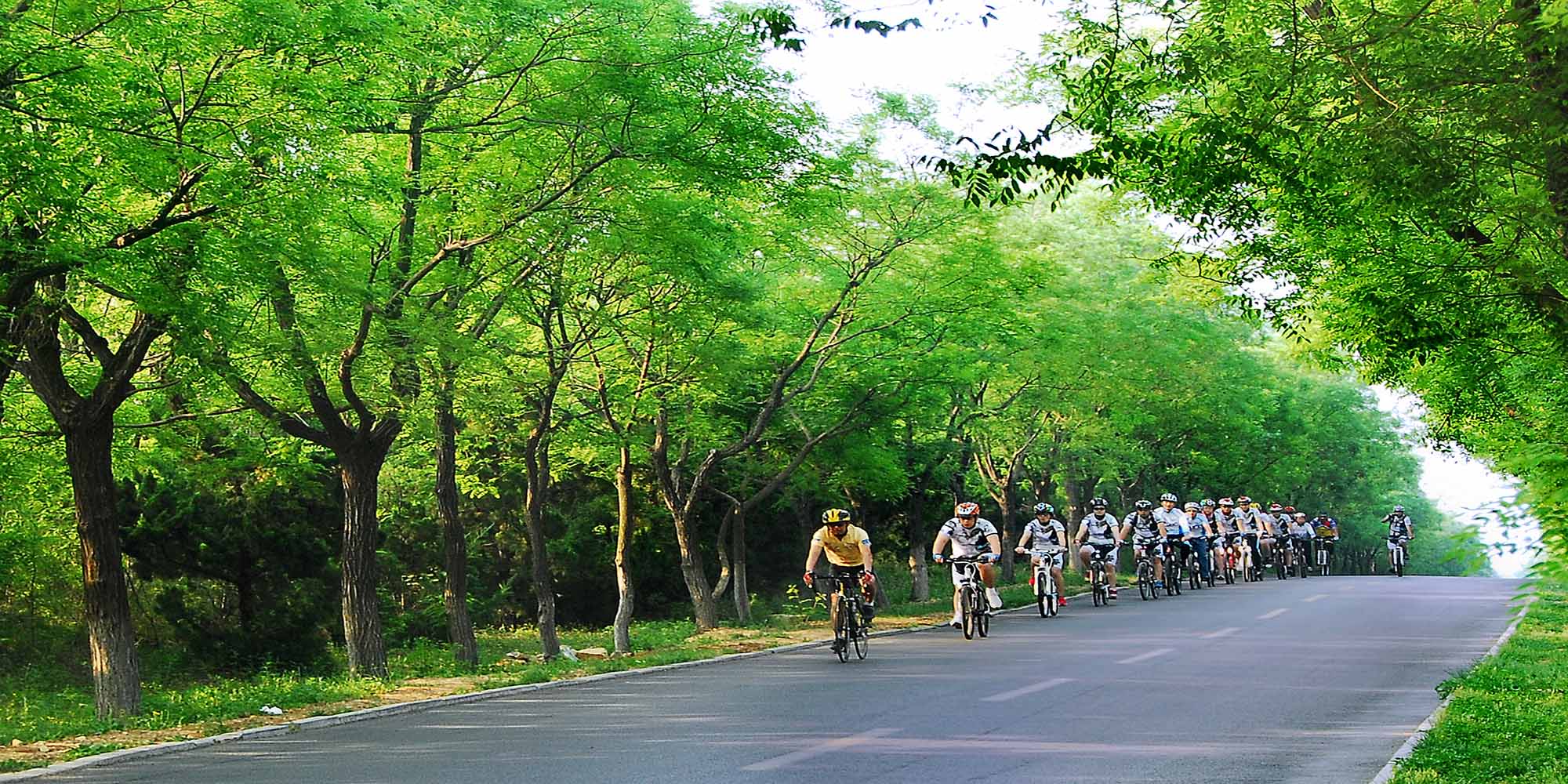 亲山近水享绿色福利，五彩鸢都创森林潍坊