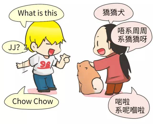 中华名犬唯一上榜的犬,中国顶级中华名犬猎犬