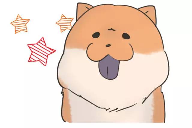 中华名犬唯一上榜的犬,中国顶级中华名犬猎犬