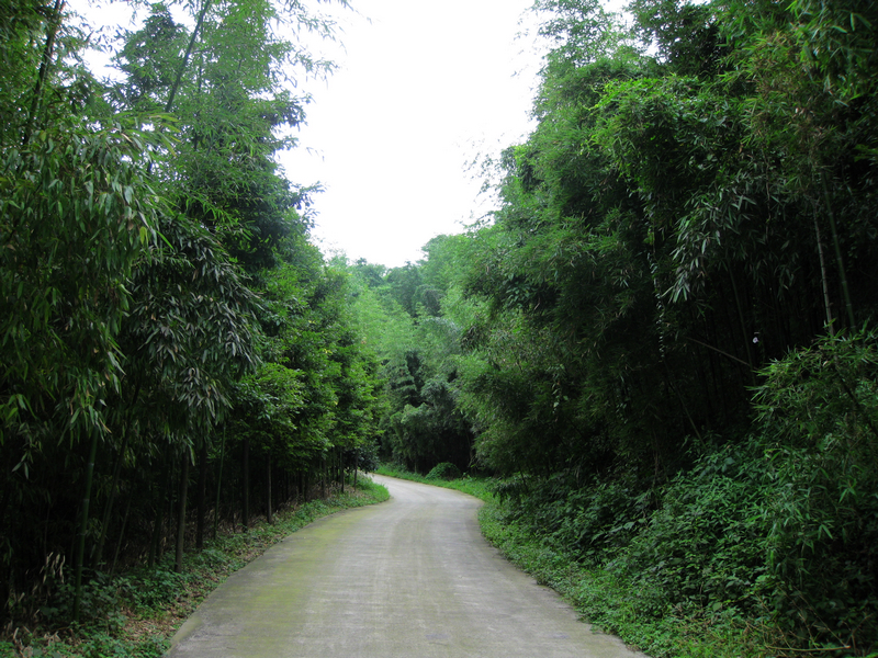 四川热天去哪玩凉快又好玩,四川竹海旅游推荐