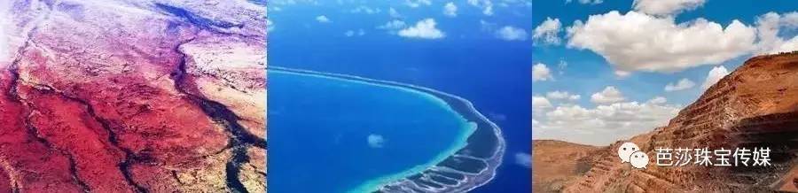 炫美图｜热到和太阳肩并肩？芭珠姐带你去海底捞珍珠！