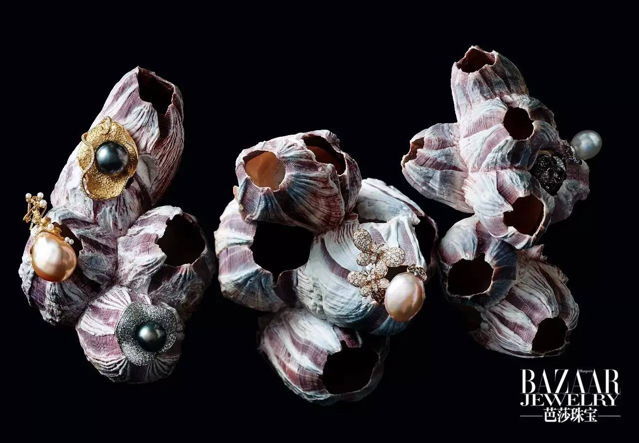 炫美图｜热到和太阳肩并肩？芭珠姐带你去海底捞珍珠！