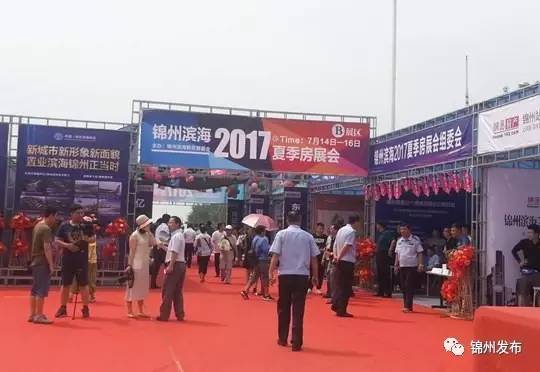 锦城街道新闻最新,锦城最近有什么新闻