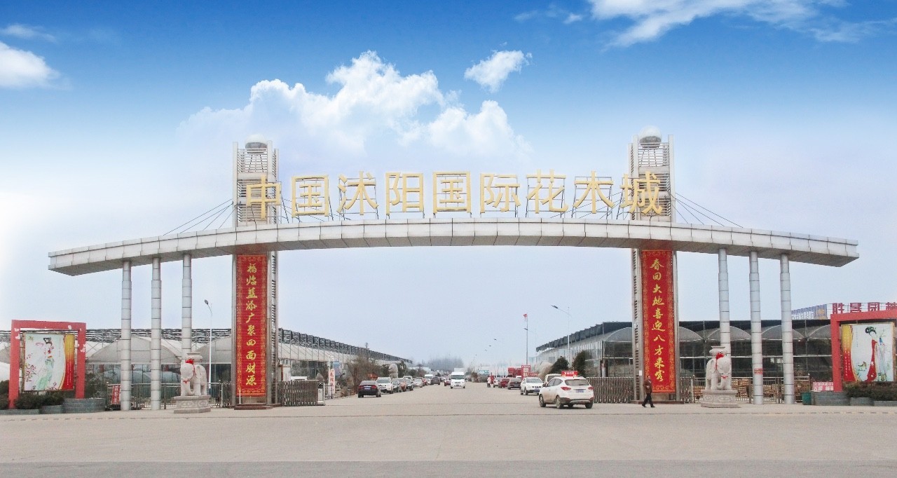 沭阳亲子游玩推荐,沭阳游玩景点推荐适合小孩