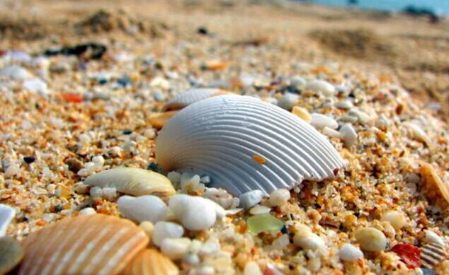 沙滩戏水通关攻略,秦皇岛黄金海岸浴场攻略