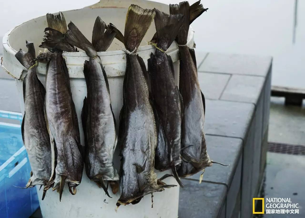 人间仙境世外桃源般的田园生活,法罗群岛遗世明珠