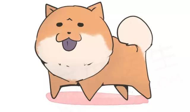 中华名犬唯一上榜的犬,中国顶级中华名犬猎犬