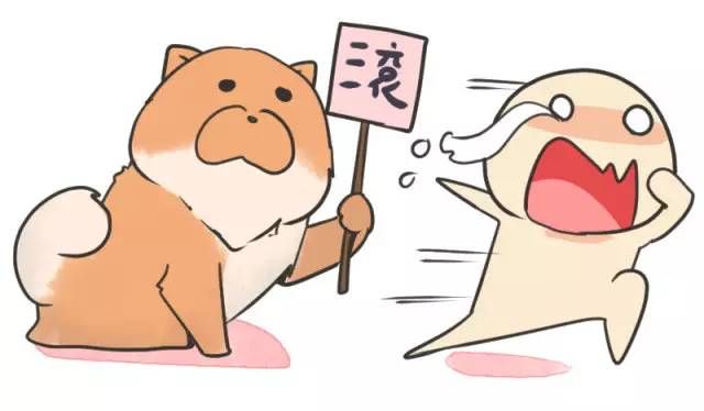 中华名犬唯一上榜的犬,中国顶级中华名犬猎犬