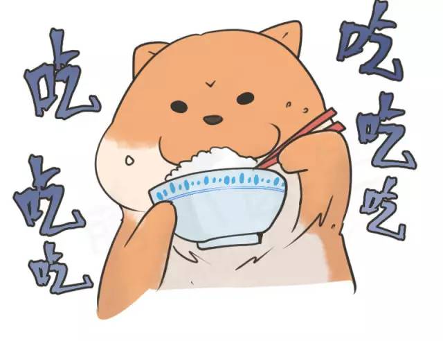 中华名犬唯一上榜的犬,中国顶级中华名犬猎犬