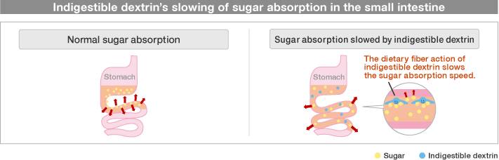 喝凉水都长肉的我，要靠自制神器减肥了！