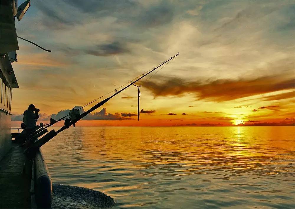 冬季海钓沉底钓鱼技巧,学校钓鱼技巧视频教程