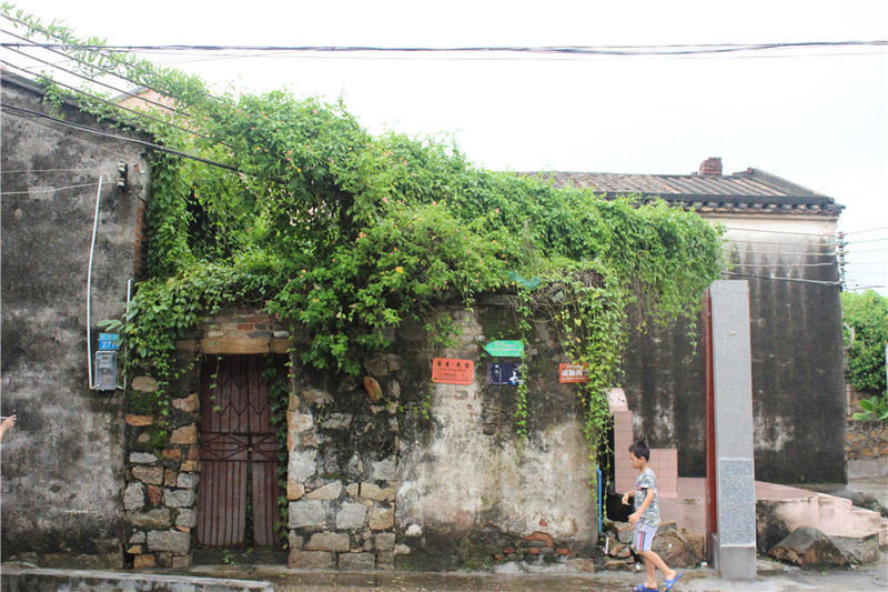 淇澳岛亲子游,一天时间玩转珠海淇澳岛