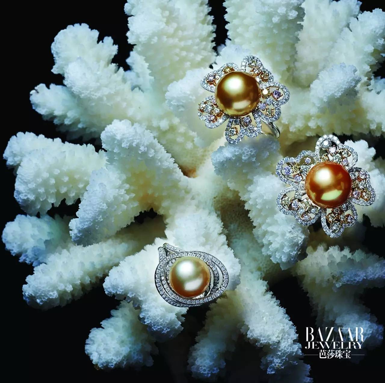 炫美图｜热到和太阳肩并肩？芭珠姐带你去海底捞珍珠！