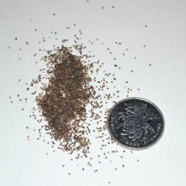 孕期旅行日记孕34周,孕期旅行记录