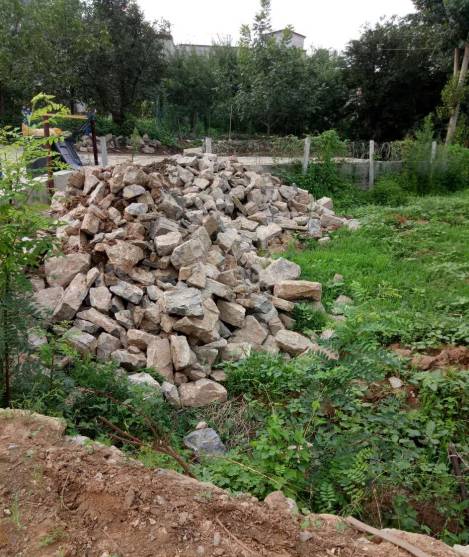 市民拍客团19期视频,市民拍客团第九期