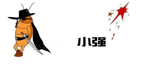 杀不死的小强蟑螂,杀蟑螂杀出小蟑螂