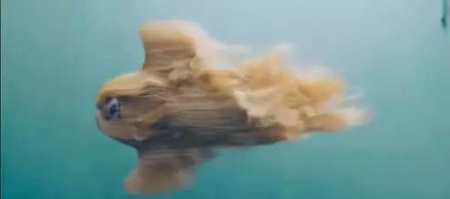 prada做什么的,prada编织回形针