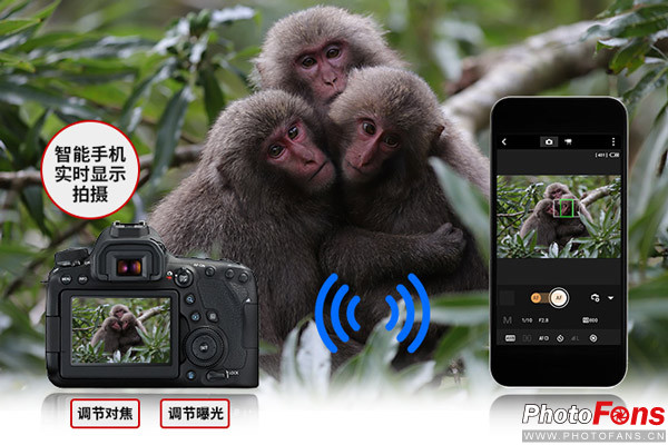 飞入寻常百姓家阅读理解,飞入寻常百姓家介绍