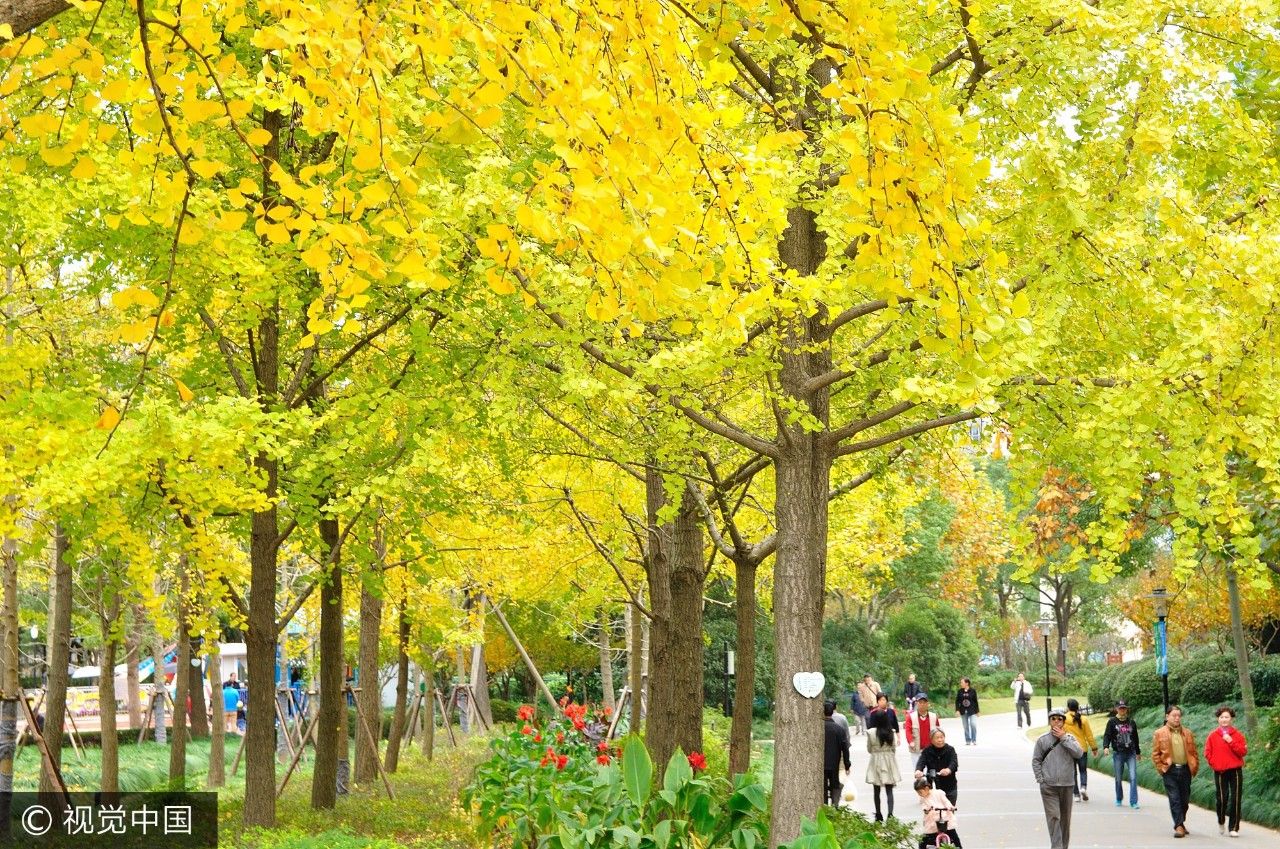 上海人家的位置,上海周边免费的避暑之地