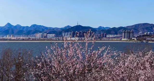 蓟州是后花园,蓟州是天津的后花园