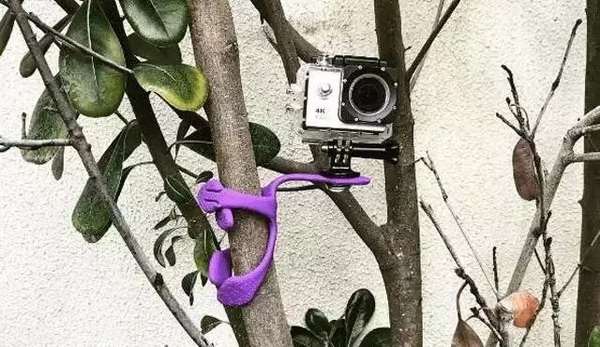 美国三大科技巨头坐拥4640亿美元现金