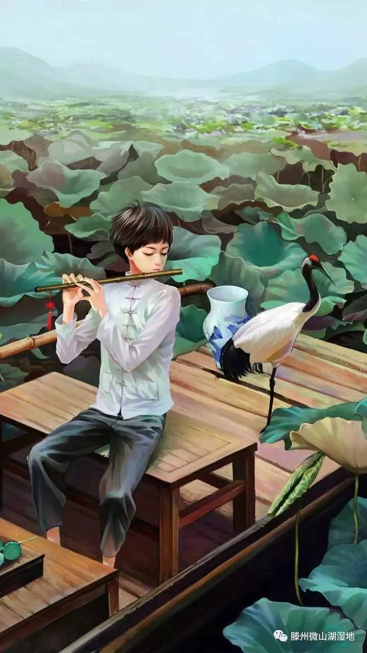 微山湖风景区万亩荷花旅游攻略,微山湖荷花美