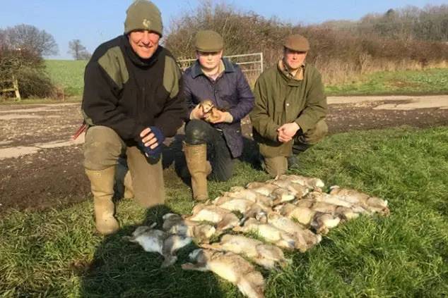 明星晒捕猎图一百只狐狸摆在乡间，谁能超过我？