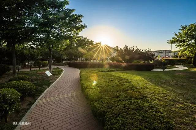 大连黑石礁异域风情街简介,旅大印象黑石礁店菜单