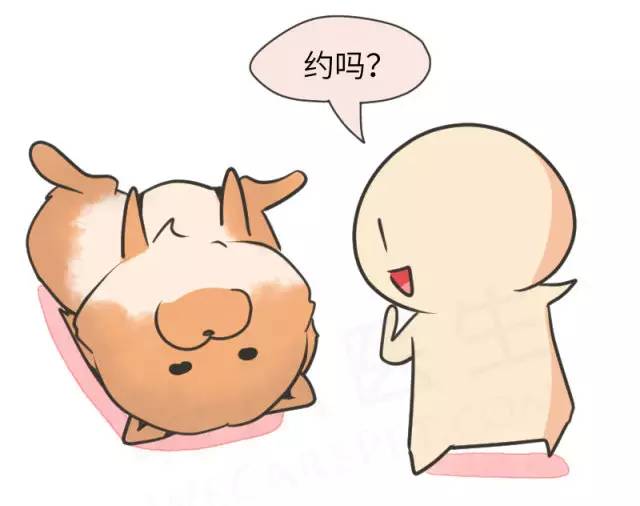 中华名犬唯一上榜的犬,中国顶级中华名犬猎犬