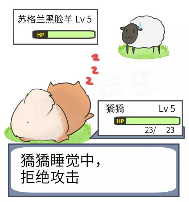 中华名犬唯一上榜的犬,中国顶级中华名犬猎犬