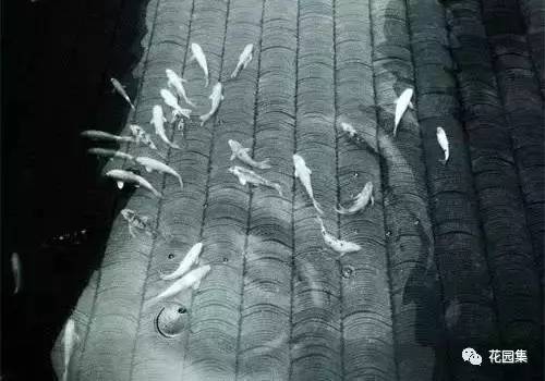 花园建一处灵动的水景墙,别墅花园小型水景