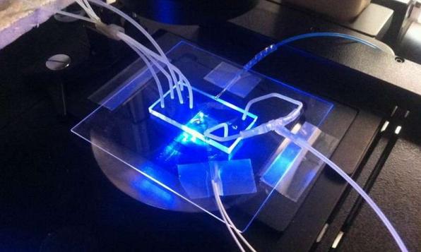 美国三大科技巨头坐拥4640亿美元现金