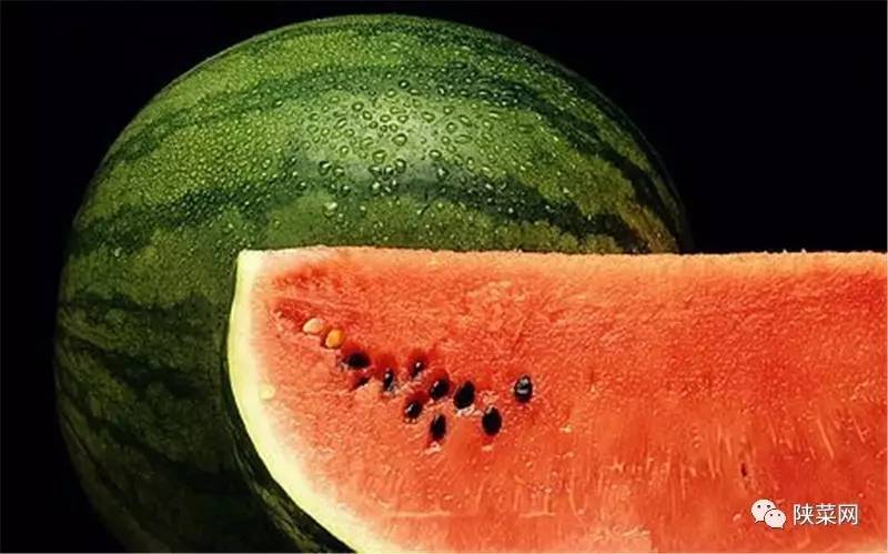 高岩直播,高岩网易云的号