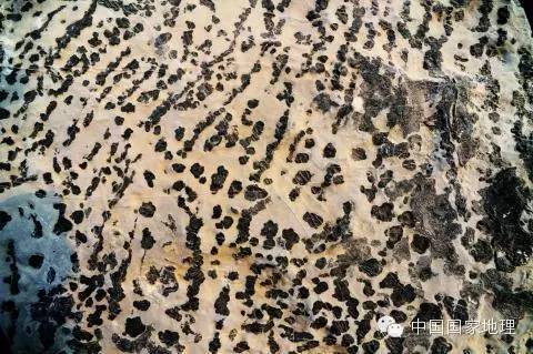 津北有奇观，10亿年地层上的“万卷史书”