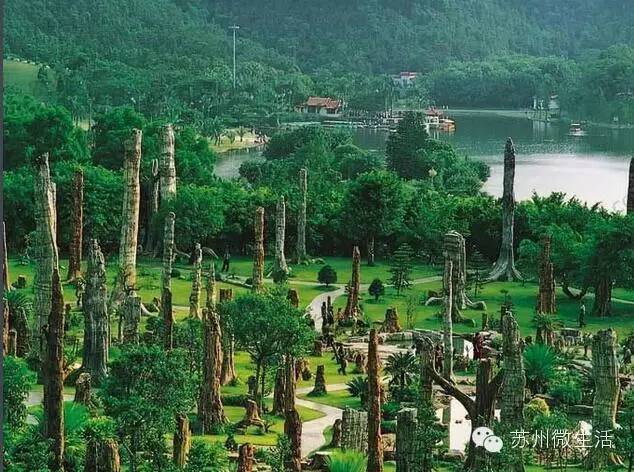 最便宜的无锡特价机票,无锡低价机票6月