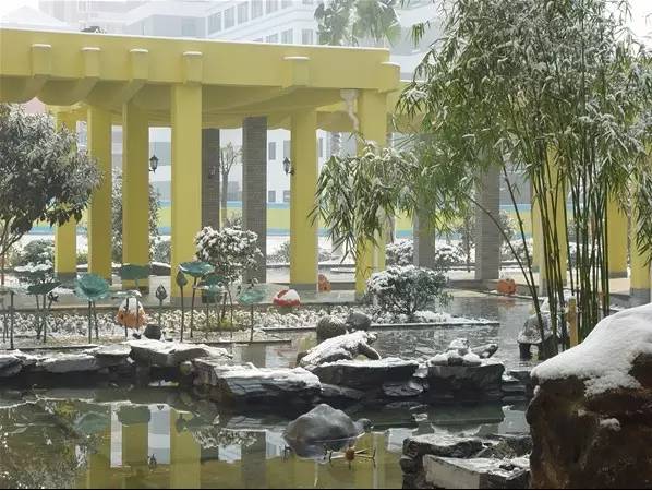 杭州顶级的贵族学校,杭州最贵族学校