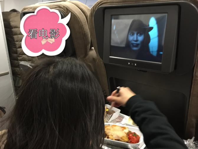 法意瑞亲子游旅行团,意瑞法三国游玩攻略