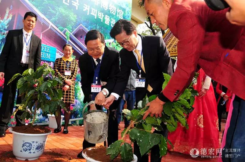 你知道猫屎咖啡的由来吗,传说中的猫屎咖啡