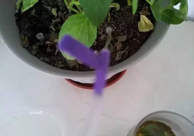 自制365天自动浇花神器,出差自制浇水神器